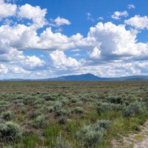A Rare Opportunity for 160 Acres of Oregon Freedom  For buyers looking for acreage, privacy, recreation, panoramic views, and room to create their own retreat, this 160-acre Klamath County property offers an exciting opportunity. With no HOA, no stated building deadline, and substantial acreage on an elevated mesa above the Sprague River APN: 275810