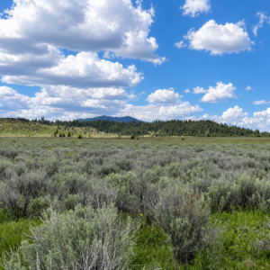 A Rare Opportunity for 160 Acres of Oregon Freedom  For buyers looking for acreage, privacy, recreation, panoramic views, and room to create their own retreat, this 160-acre Klamath County property offers an exciting opportunity. With no HOA, no stated building deadline, and substantial acreage on an elevated mesa above the Sprague River APN: 275810