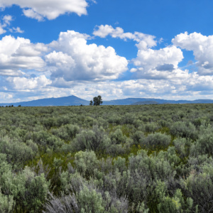 A Rare Opportunity for 160 Acres of Oregon Freedom  For buyers looking for acreage, privacy, recreation, panoramic views, and room to create their own retreat, this 160-acre Klamath County property offers an exciting opportunity. With no HOA, no stated building deadline, and substantial acreage on an elevated mesa above the Sprague River APN: 275810