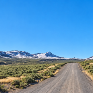 Gold Country Is Booming Again — Own 170 Acres of Nevada Freedom! Discover an extraordinary opportunity to own approximately 170 acres in Crescent Valley, Lander County, Nevada. This remarkable property consists of six adjoining parcels, giving you the flexibility to keep the entire acreage together, develop it over time, or hold the individual parcels as a long-term investment. Running Creek in Crescent Valley with majestic views!  APN: 007-640-05