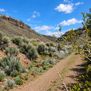 Gold Country Is Booming Again — Own 170 Acres of Nevada Freedom! Discover an extraordinary opportunity to own approximately 170 acres in Crescent Valley, Lander County, Nevada. This remarkable property consists of six adjoining parcels, giving you the flexibility to keep the entire acreage together, develop it over time, or hold the individual parcels as a long-term investment. Running Creek in Crescent Valley with majestic views!  APN: 007-640-05
