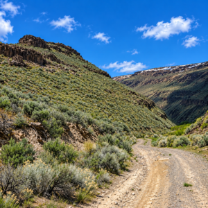 Gold Country Is Booming Again — Own 170 Acres of Nevada Freedom! Discover an extraordinary opportunity to own approximately 170 acres in Crescent Valley, Lander County, Nevada. This remarkable property consists of six adjoining parcels, giving you the flexibility to keep the entire acreage together, develop it over time, or hold the individual parcels as a long-term investment. Running Creek in Crescent Valley with majestic views!  APN: 007-640-05