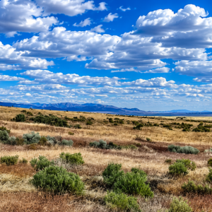 320 Acres Surrounded by BLM Government Land — East of Seven Troughs Mountain!  Imagine a private country retreat, a future home with sweeping views, or space for farming and agricultural pursuits. APN: 003-051-15