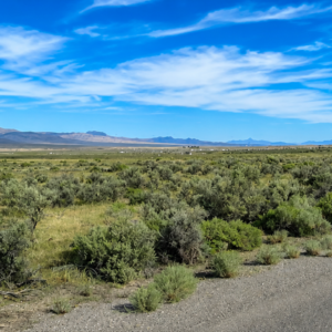 320 Acres Surrounded by BLM Government Land — East of Seven Troughs Mountain!  Imagine a private country retreat, a future home with sweeping views, or space for farming and agricultural pursuits. APN: 003-051-15