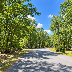 Bring your Camper and RV to the Lakes, Golf and Natural Beauty in Cherokee Village!  Build your future near Lake Chanute and the Cherokee Village South Golf Course, surrounded by peaceful woodlands, outdoor recreation and small-town charm. APN: 230-14824-000