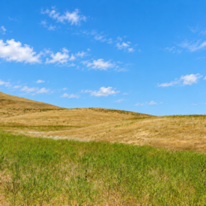 CRESCENT VALLEY NEVADA!  A SEASONAL CREEK! YOUR 200-ACRE NEVADA ESCAPE Eureka County, Nevada • Wide-Open Space • Beautiful Mountain Views Discover ! Own your piece of America!  APN: 005-340-30