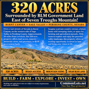 320 Acres Surrounded by BLM Government Land — East of Seven Troughs Mountain!  Imagine a private country retreat, a future home with sweeping views, or space for farming and agricultural pursuits. APN: 003-051-15