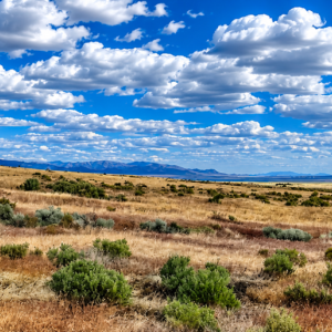 320 Acres Surrounded by BLM Government Land — East of Seven Troughs Mountain!  Imagine a private country retreat, a future home with sweeping views, or space for farming and agricultural pursuits. APN: 003-051-15