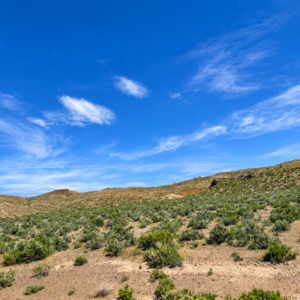 Discover 46 Acres & No Restrictions Acres in Crescent Valley NV-  BLM RIGHTS-OF-WAY & PRIVATE LAND ACCESS -Majestic Mountain Views -APN: 007-080-07