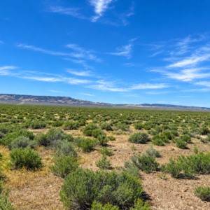 Discover 46 Acres & No Restrictions Acres in Crescent Valley NV-  BLM RIGHTS-OF-WAY & PRIVATE LAND ACCESS -Majestic Mountain Views -APN: 007-080-07