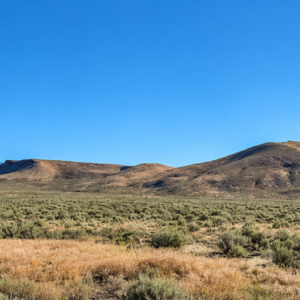 320 Acres Surrounded by BLM Government Land — East of Seven Troughs Mountain!  Imagine a private country retreat, a future home with sweeping views, or space for farming and agricultural pursuits. APN: 003-051-15