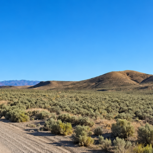320 Acres Surrounded by BLM Government Land — East of Seven Troughs Mountain!  Imagine a private country retreat, a future home with sweeping views, or space for farming and agricultural pursuits. APN: 003-051-15