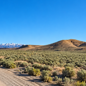 320 Acres Surrounded by BLM Government Land — East of Seven Troughs Mountain!  Imagine a private country retreat, a future home with sweeping views, or space for farming and agricultural pursuits. APN: 003-051-15