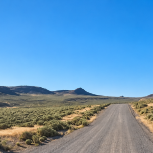 320 Acres Surrounded by BLM Government Land — East of Seven Troughs Mountain!  Imagine a private country retreat, a future home with sweeping views, or space for farming and agricultural pursuits. APN: 003-051-15