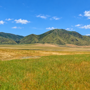 CRESCENT VALLEY NEVADA!  A SEASONAL CREEK! YOUR 200-ACRE NEVADA ESCAPE Eureka County, Nevada • Wide-Open Space • Beautiful Mountain Views Discover ! Own your piece of America!  APN: 005-340-30