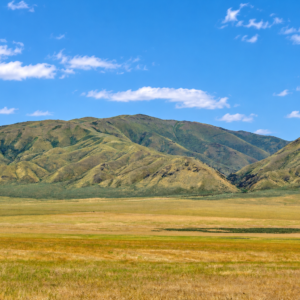 CRESCENT VALLEY NEVADA!  A SEASONAL CREEK! YOUR 200-ACRE NEVADA ESCAPE Eureka County, Nevada • Wide-Open Space • Beautiful Mountain Views Discover ! Own your piece of America!  APN: 005-340-30