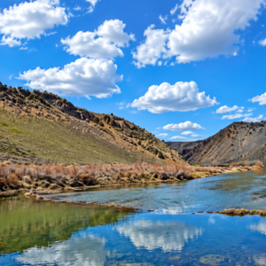 YOUR OWN MOUNTAIN ESCAPE—80 ACRES WITH A YEAR-ROUND CREEK! Wide-open space. Mountain beauty. The sound of flowing water. APN: 11-140-15