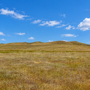 CRESCENT VALLEY NEVADA!  A SEASONAL CREEK! YOUR 200-ACRE NEVADA ESCAPE Eureka County, Nevada • Wide-Open Space • Beautiful Mountain Views Discover ! Own your piece of America!  APN: 005-340-30