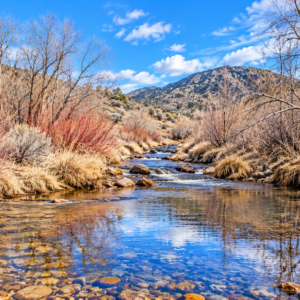 YOUR OWN MOUNTAIN ESCAPE—80 ACRES WITH A YEAR-ROUND CREEK! Wide-open space. Mountain beauty. The sound of flowing water. APN: 11-140-15