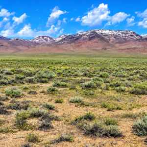 320 Acres Surrounded by BLM Government Land — East of Seven Troughs Mountain!  Imagine a private country retreat, a future home with sweeping views, or space for farming and agricultural pursuits. APN: 003-051-15