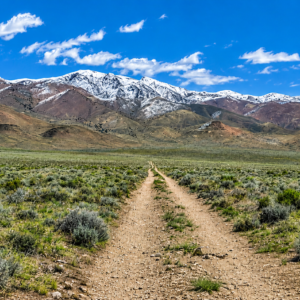 320 Acres Surrounded by BLM Government Land — East of Seven Troughs Mountain!  Imagine a private country retreat, a future home with sweeping views, or space for farming and agricultural pursuits. APN: 003-051-15