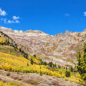 YOUR OWN MOUNTAIN ESCAPE—80 ACRES WITH A YEAR-ROUND CREEK! Wide-open space. Mountain beauty. The sound of flowing water. APN: 11-140-15