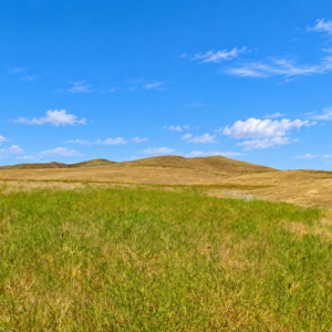 CRESCENT VALLEY NEVADA!  A SEASONAL CREEK! YOUR 200-ACRE NEVADA ESCAPE Eureka County, Nevada • Wide-Open Space • Beautiful Mountain Views Discover ! Own your piece of America!  APN: 005-340-30