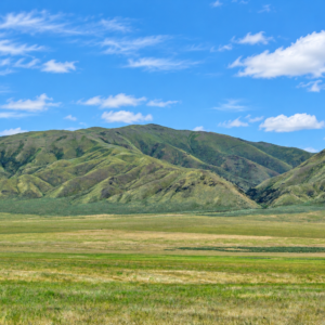 CRESCENT VALLEY NEVADA!  A SEASONAL CREEK! YOUR 200-ACRE NEVADA ESCAPE Eureka County, Nevada • Wide-Open Space • Beautiful Mountain Views Discover ! Own your piece of America!  APN: 005-340-30