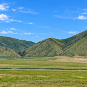 CRESCENT VALLEY NEVADA!  A SEASONAL CREEK! YOUR 200-ACRE NEVADA ESCAPE Eureka County, Nevada • Wide-Open Space • Beautiful Mountain Views Discover ! Own your piece of America!  APN: 005-340-30