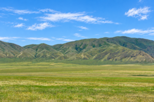 CRESCENT VALLEY NEVADA!  A SEASONAL CREEK! YOUR 200-ACRE NEVADA ESCAPE Eureka County, Nevada • Wide-Open Space • Beautiful Mountain Views Discover ! Own your piece of America!  APN: 005-340-30