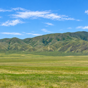 CRESCENT VALLEY NEVADA!  A SEASONAL CREEK! YOUR 200-ACRE NEVADA ESCAPE Eureka County, Nevada • Wide-Open Space • Beautiful Mountain Views Discover ! Own your piece of America!  APN: 005-340-30