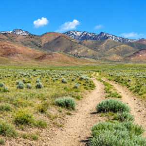 320 Acres Surrounded by BLM Government Land — East of Seven Troughs Mountain!  Imagine a private country retreat, a future home with sweeping views, or space for farming and agricultural pursuits. APN: 003-051-15