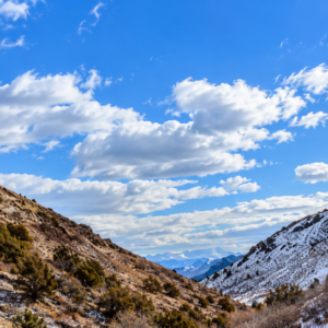 YOUR OWN MOUNTAIN ESCAPE—80 ACRES WITH A YEAR-ROUND CREEK! Wide-open space. Mountain beauty. The sound of flowing water. APN: 11-140-15