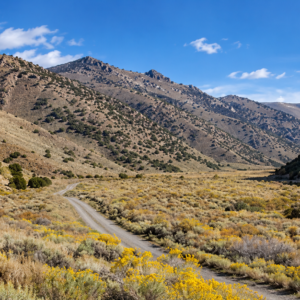 YOUR OWN MOUNTAIN ESCAPE—80 ACRES WITH A YEAR-ROUND CREEK! Wide-open space. Mountain beauty. The sound of flowing water. APN: 11-140-15