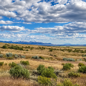 320 Acres Surrounded by BLM Government Land — East of Seven Troughs Mountain!  Imagine a private country retreat, a future home with sweeping views, or space for farming and agricultural pursuits. APN: 003-051-15