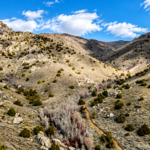 YOUR OWN MOUNTAIN ESCAPE—80 ACRES WITH A YEAR-ROUND CREEK! Wide-open space. Mountain beauty. The sound of flowing water. APN: 11-140-15