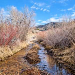 YOUR OWN MOUNTAIN ESCAPE—80 ACRES WITH A YEAR-ROUND CREEK! Wide-open space. Mountain beauty. The sound of flowing water. APN: 11-140-15