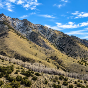 YOUR OWN MOUNTAIN ESCAPE—80 ACRES WITH A YEAR-ROUND CREEK! Wide-open space. Mountain beauty. The sound of flowing water. APN: 11-140-15