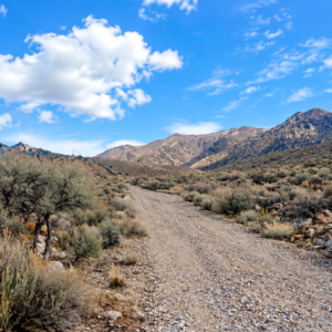 YOUR OWN MOUNTAIN ESCAPE—80 ACRES WITH A YEAR-ROUND CREEK! Wide-open space. Mountain beauty. The sound of flowing water. APN: 11-140-15