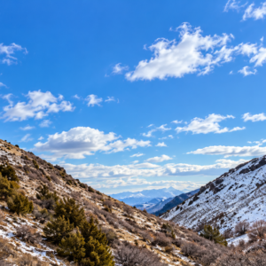 YOUR OWN MOUNTAIN ESCAPE—80 ACRES WITH A YEAR-ROUND CREEK! Wide-open space. Mountain beauty. The sound of flowing water. APN: 11-140-15