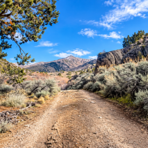 YOUR OWN MOUNTAIN ESCAPE—80 ACRES WITH A YEAR-ROUND CREEK! Wide-open space. Mountain beauty. The sound of flowing water. APN: 11-140-15