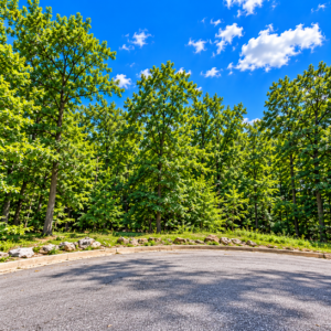 Bring your Camper and RV to the Lakes, Golf and Natural Beauty in Cherokee Village!  Build your future near Lake Chanute and the Cherokee Village South Golf Course, surrounded by peaceful woodlands, outdoor recreation and small-town charm. APN:  235-15089-000