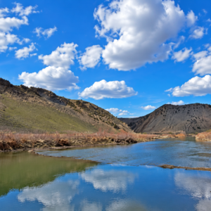 YOUR OWN MOUNTAIN ESCAPE—80 ACRES WITH A YEAR-ROUND CREEK! Wide-open space. Mountain beauty. The sound of flowing water. APN: 11-140-15