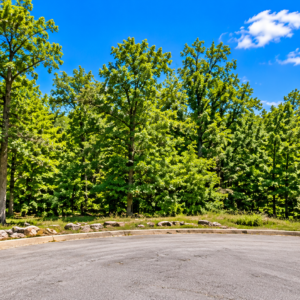 Bring your Camper and RV to the Lakes, Golf and Natural Beauty in Cherokee Village!  Build your future near Lake Chanute and the Cherokee Village South Golf Course, surrounded by peaceful woodlands, outdoor recreation and small-town charm. APN:  335-18627-000