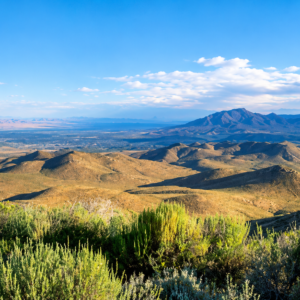 YOUR OWN MOUNTAIN ESCAPE—80 ACRES WITH A YEAR-ROUND CREEK! Wide-open space. Mountain beauty. The sound of flowing water. APN: 11-140-15