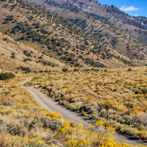 YOUR OWN MOUNTAIN ESCAPE—80 ACRES WITH A YEAR-ROUND CREEK! Wide-open space. Mountain beauty. The sound of flowing water. APN: 11-140-15