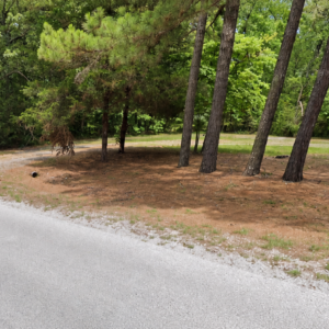 Discover a 16,358 Sq Ft Residential Property- Near Lake Aztec-Fulton County Arkansas -Road Frontage & Power APN : 305-17753-000