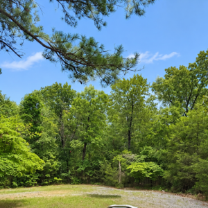 Discover a 16,358 Sq Ft Residential Property- Near Lake Aztec-Fulton County Arkansas -Road Frontage & Power APN : 305-17753-000
