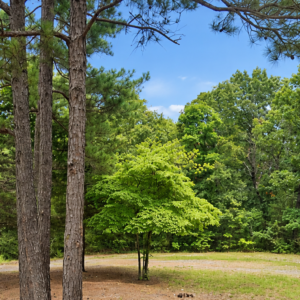 Discover a 16,358 Sq Ft Residential Property- Near Lake Aztec-Fulton County Arkansas -Road Frontage & Power APN : 305-17753-000