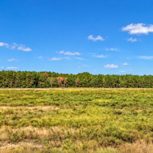 Own 5 Acres of South Carolina Peace and Possibility in Wallace. Enjoy level, open pasture with paved road frontage and public water available. With no HOA, there’s room to plan your dream home, grow a garden, and embrace country living. Stay close to everyday conveniences while enjoying fishing, golf, and outdoor adventures within easy reach. APN:  013-00-02-123